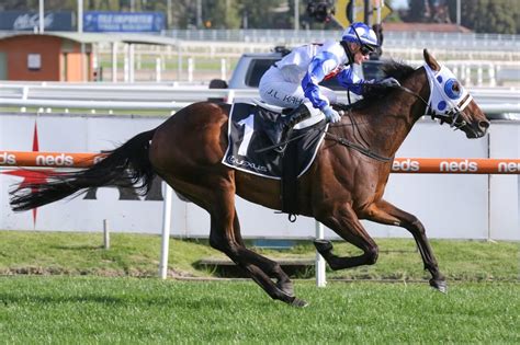 queensland derby odds|Queensland Derby Betting Guide .